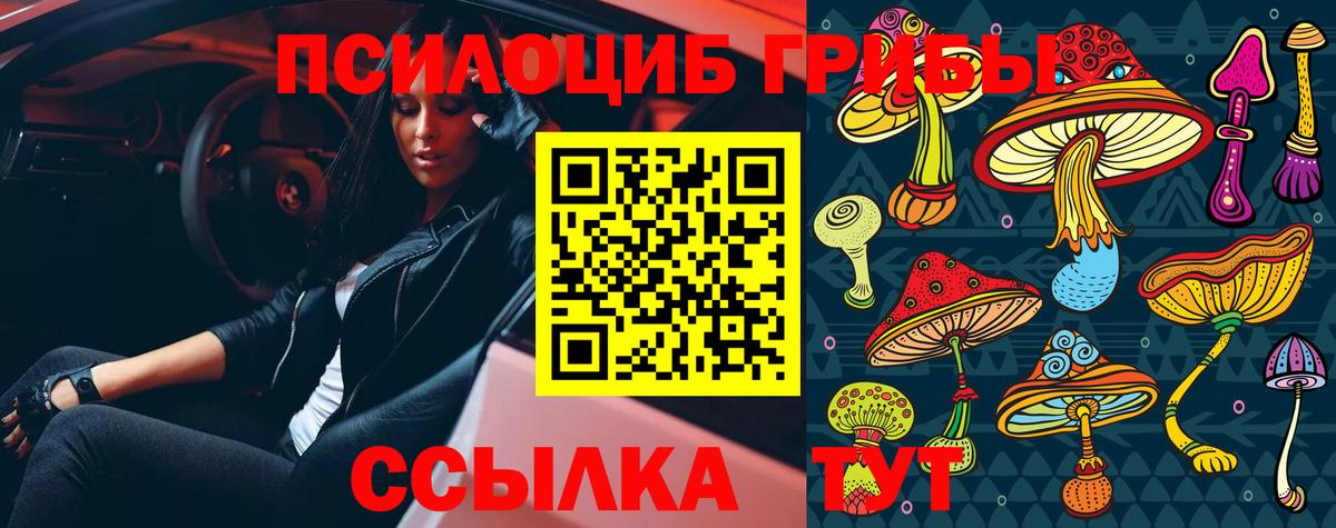 Галлюциногенные грибы Magic Shrooms Холмск