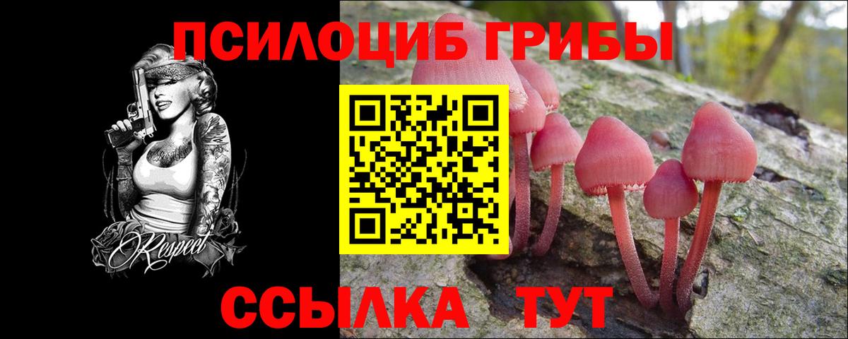 Холмск  Псилоцибиновые грибы MAGIC MUSHROOMS  Псилоцибиновые грибы Magic Shrooms  Вход с VPN 